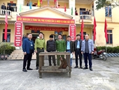 Red-faced monkey handed to authorities in Nghe An